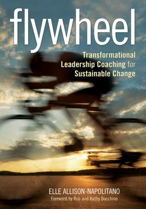 Cover of the book Flywheel by Sarah Trussler, Debs Robinson