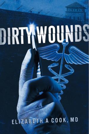 Cover of the book Dirty Wounds by Blair Morse, Brian Burden, Franklin Canterbury