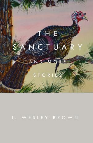 bigCover of the book The Sanctuary by 