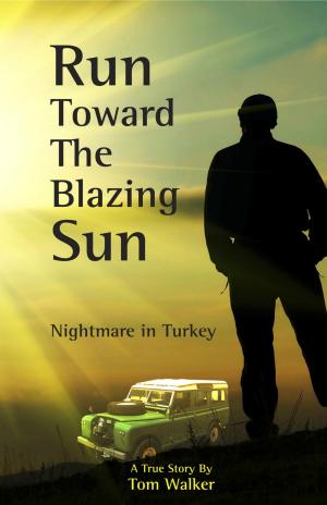 Book cover of Run Toward the Blazing Sun