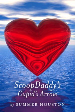 Cover of the book ScoopDaddy's Cupid's Arrow by George McNair, Terry Williams