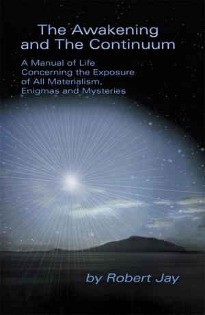 Cover of the book The Awakening and the Continuum by Aaron Minsky