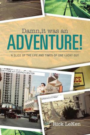 Cover of the book Damn, It Was an Adventure! by Clint Lamm