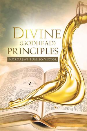 Cover of the book Divine (Godhead) Principles by Dr M A Monareng