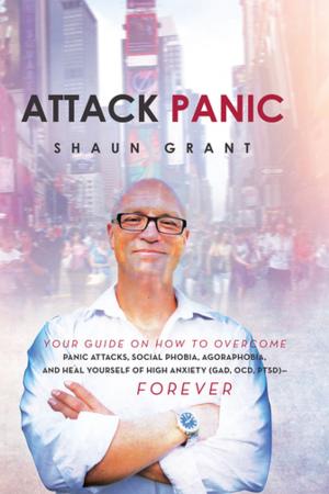 Cover of the book Attack Panic by Korie Massey