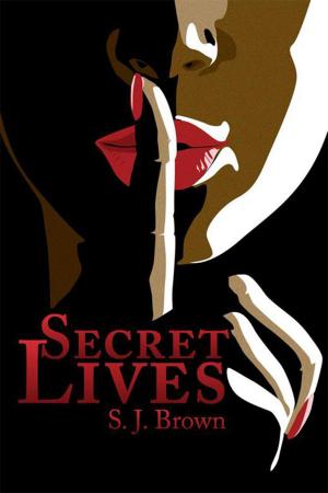 Cover of the book Secret Lives by Daleen Van Tonder