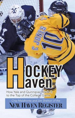 Cover of the book Hockey Haven by Glenn Brunet