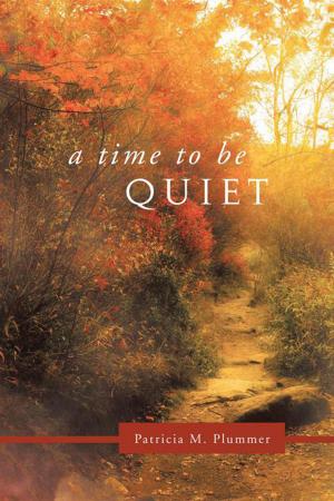 Cover of the book A Time to Be Quiet by Cathy Donovan