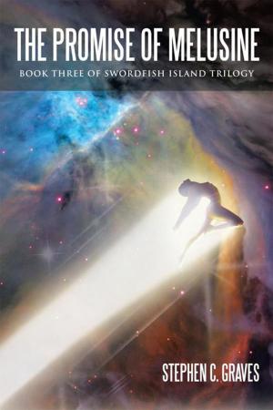 Cover of the book The Promise of Melusine by Aaron N.R. Wilson