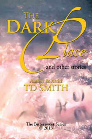 bigCover of the book The Dark Place by 