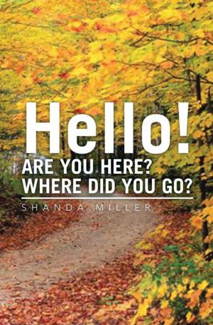 Cover of the book Hello! Are You Here? Where Did You Go? by M.B. Jewell