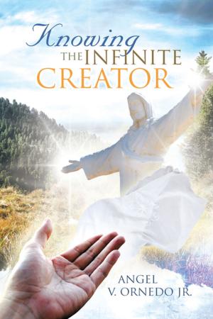 Cover of the book Knowing the Infinite Creator by Brenda Turner