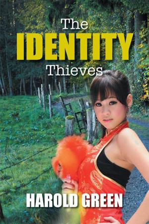 Cover of the book The Identity Thieves by Joanna Walls