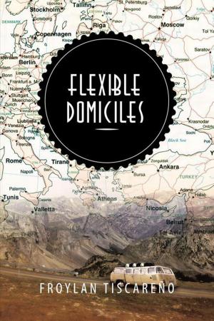 Cover of the book Flexible Domiciles by Cheryl Krkoc