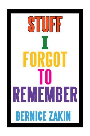 Book cover of Stuff I Forgot to Remember