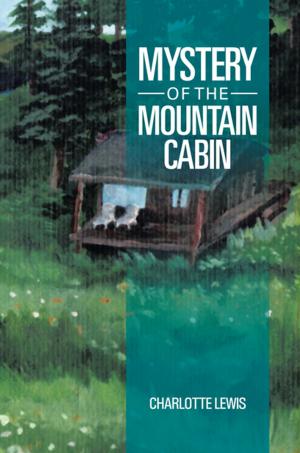Cover of the book Mystery of the Mountain Cabin by Leslie Herzberger