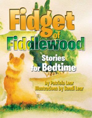 Cover of the book Fidget of Fiddlewood by Jasmine Noreen