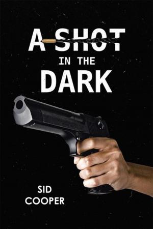 bigCover of the book A Shot in the Dark by 
