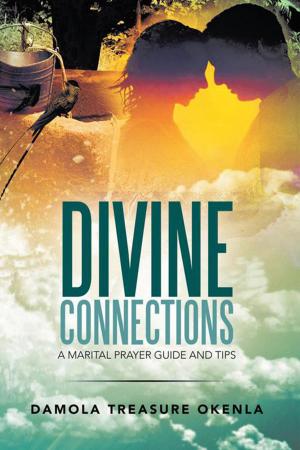 Cover of the book Divine Connections by John D. Bankston