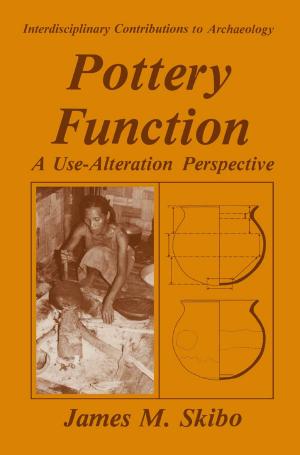 Cover of the book Pottery Function by Luke Drago Spajic