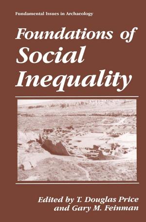 Cover of the book Foundations of Social Inequality by Mohammad Rafiqul Haider, Syed Kamrul Islam