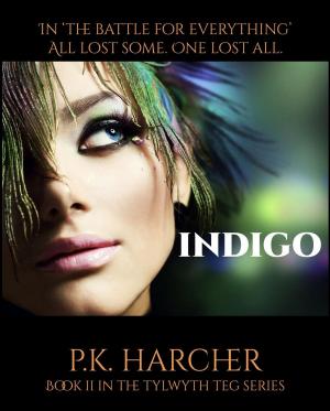 Cover of the book Indigo by The Mindset Warrior