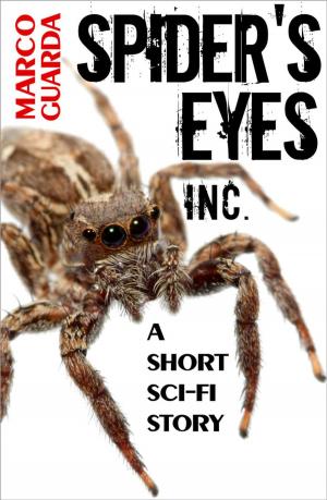 Book cover of Spider’s Eyes Inc.