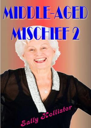 bigCover of the book Middle Aged Mischief 2 by 