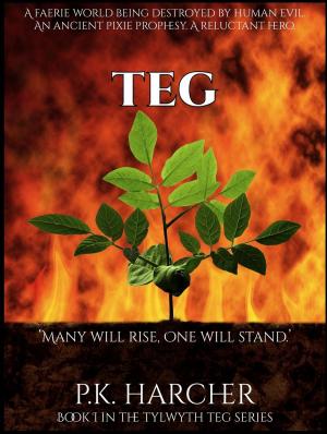 Cover of the book Teg by Matthew Foleman