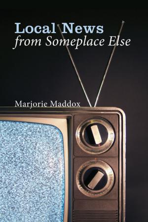 Cover of the book Local News from Someplace Else by W. Jay Moon