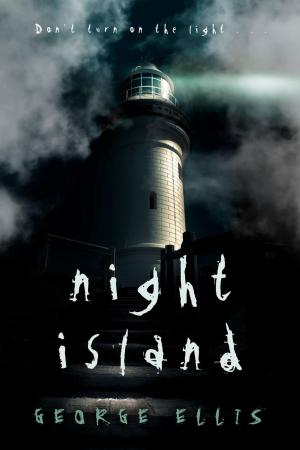 Book cover of Night Island: A Novella