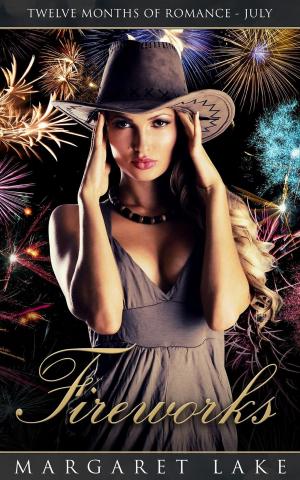 Cover of the book Fireworks by Margaret Lake