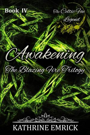 Cover of the book Blazing Fire Trilogy - Awakening by K.J. Emrick, S.J. Wells