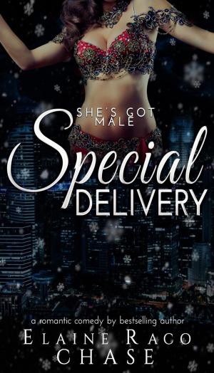 Cover of the book Special Delivery by Julie Kriss