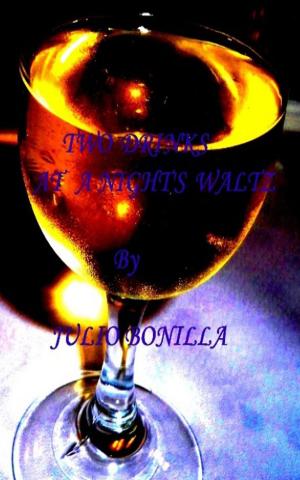 Cover of the book Two Drinks at a Night's Waltz by Poli Simona