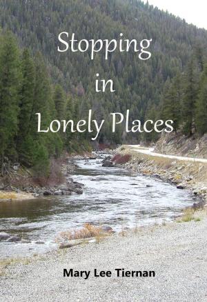 Cover of the book Stopping in Lonely Places by SJ Rozan, Hilary Davidson, Ryan David Jahn, Kevin Roller, Hester Young, William Soldan, Gary Earl Ross, Nick Kolakowski, Erica Wright, Jonathan Ferrini