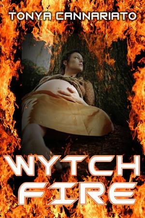 Cover of the book Wytchfire by Damian Herde