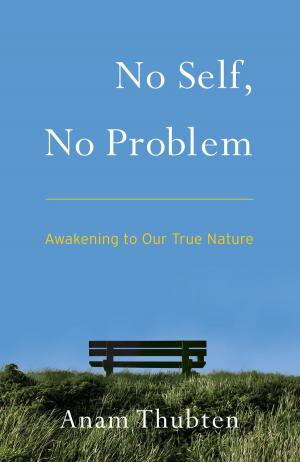 Cover of the book No Self, No Problem by Sean Esbjorn-Hargens, Ph.D., Michael E. Zimmerman, Ph.D.