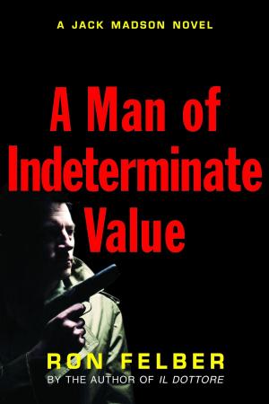 Cover of the book A Man of Indeterminate Value by Paul R. Kavieff