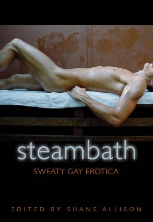 Cover of the book Steam Bath by Keston Ott-Dahl