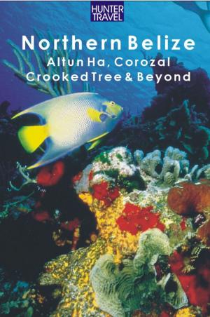 Cover of the book Northern Belize: Altun Ha, Corozal, Crooked Tree, Sarteneja, Orange Walk & Beyond by John  Waggoner