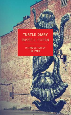 Cover of the book Turtle Diary by J.F. Powers