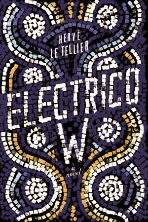 Book cover of Electrico W