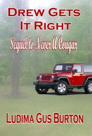 Cover of the book Drew Gets it Right-A Sequel to Never a Cougar by Arline Chase