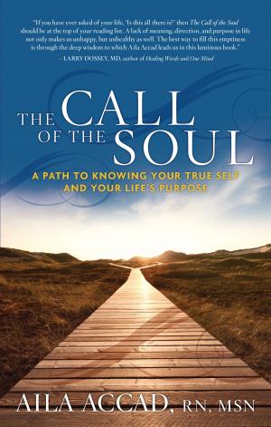 Cover of the book The Call of Soul by Barbara Herrick