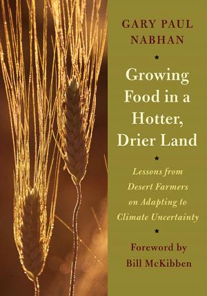 Cover of the book Growing Food in a Hotter, Drier Land by Michael C. Ruppert