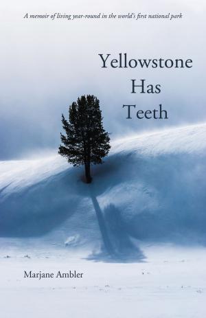 Cover of the book Yellowstone Has Teeth by C.B. Glasscock