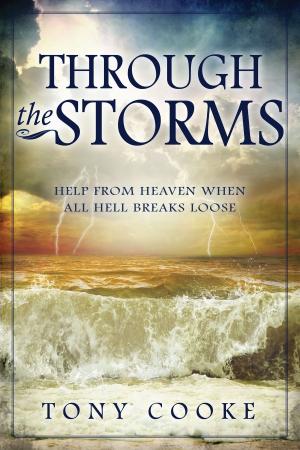 Cover of the book Through the Storms by Thompson, Robb