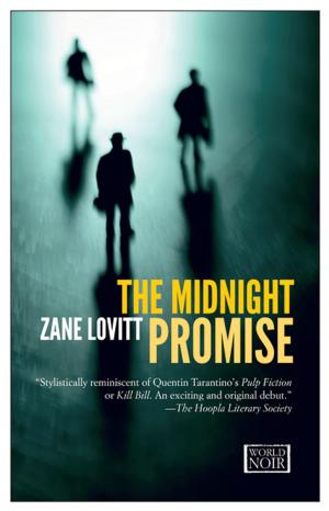 Cover of the book The Midnight Promise by Jane Gardam