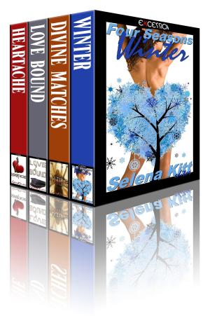 Cover of the book Excessica Anthology Box Set Winter by Sommer Marsden